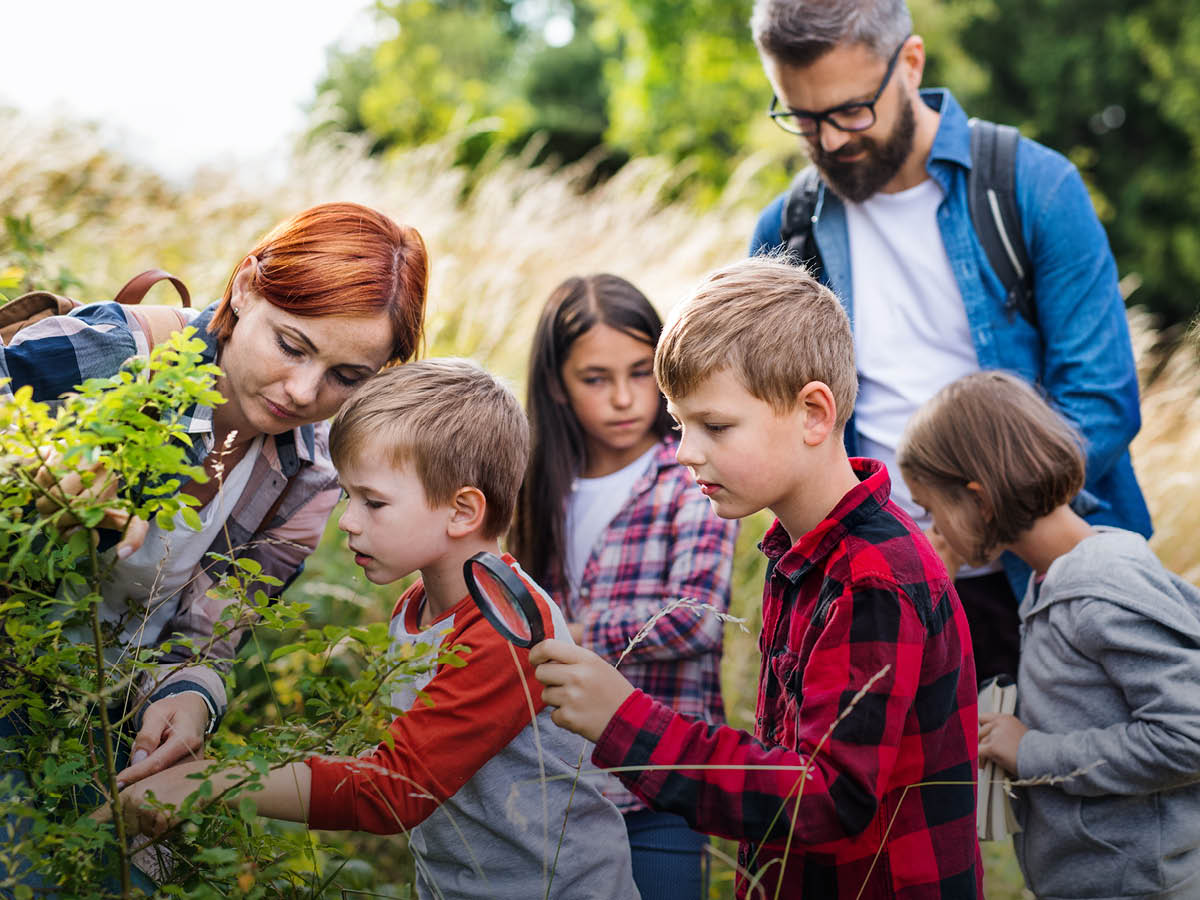 Zwei Erwachsene sind mit Kindern im Grundschulalter draußen in der Natur. Ein Kind untersucht zusammen mit einer Lehrkraft die Blätter eines Busches. Ein anderes Kind hält eine Lupe in der Hand.